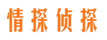 迭部侦探